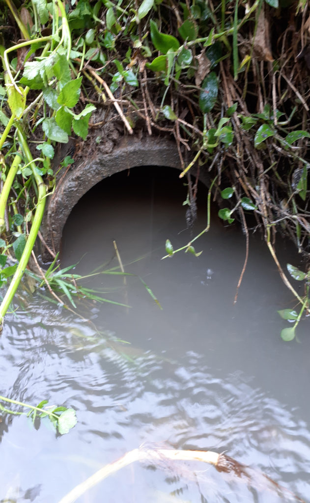Flooded Networks (1)
