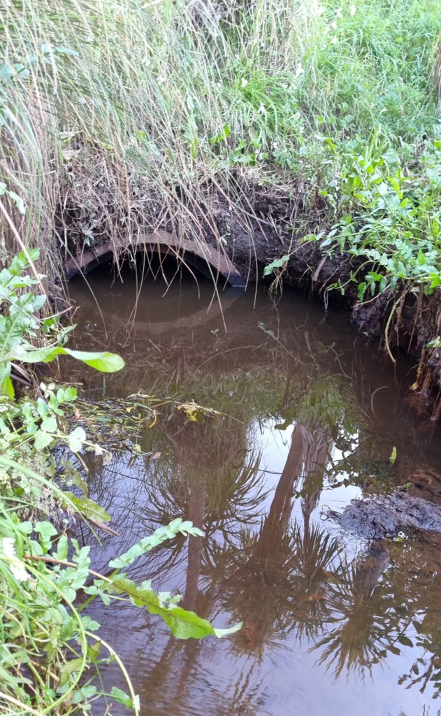 Flooded Networks (2)