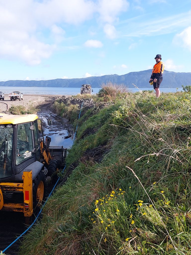 Paraparaumu Beach, Kapiti Coast (7)