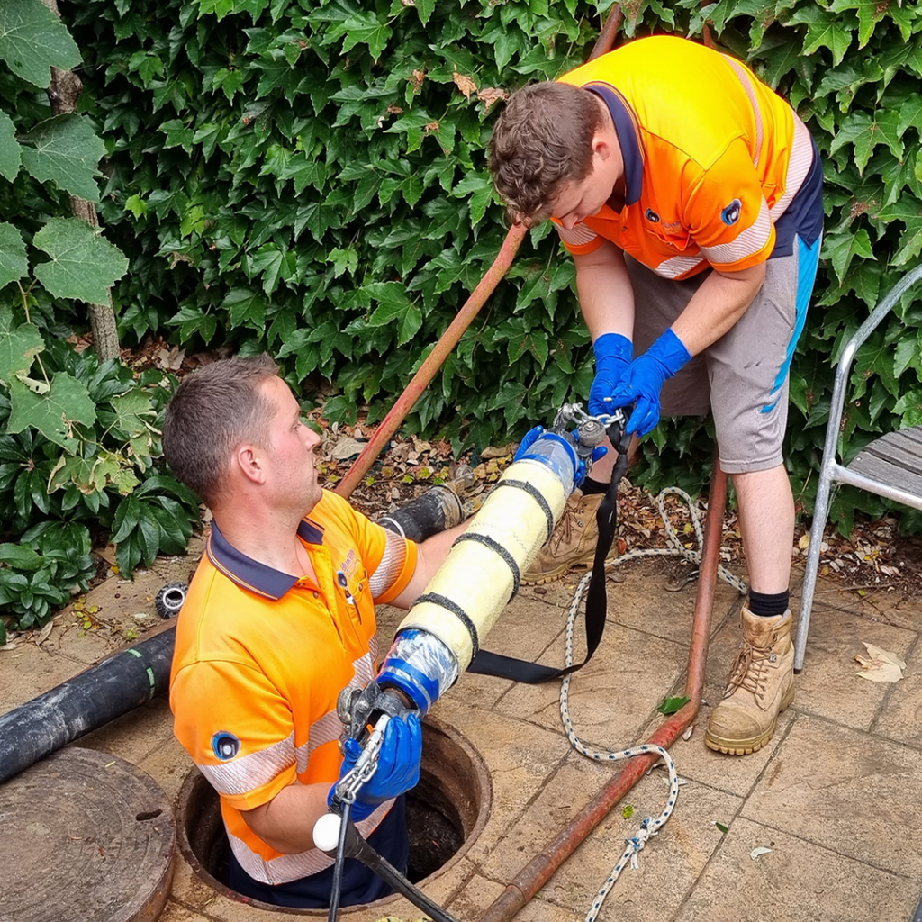 Unleash Pipeline Power with BlueLine Drains (4)