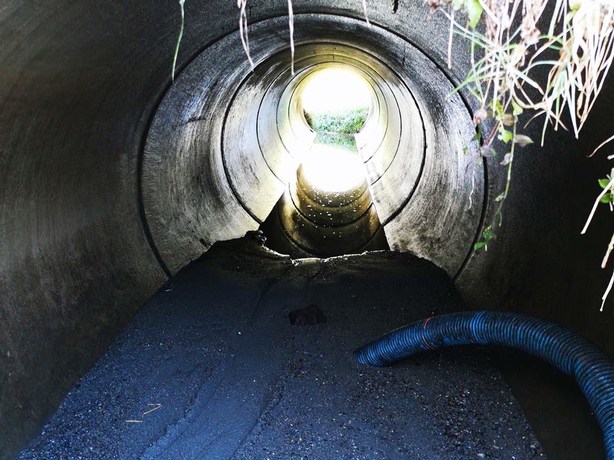 Satisfying Pipe Cleaning - (Featured Image)