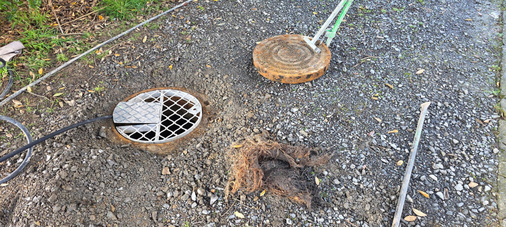 Root Cause Revealed (3)